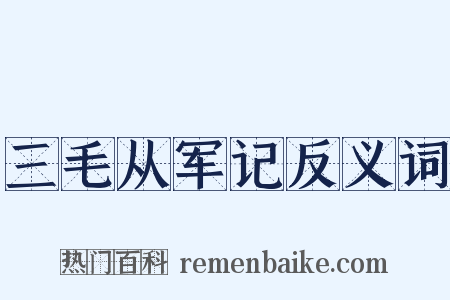 三毛从军记反义词是什么意思的图片